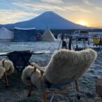 リアルファーチェアカバー