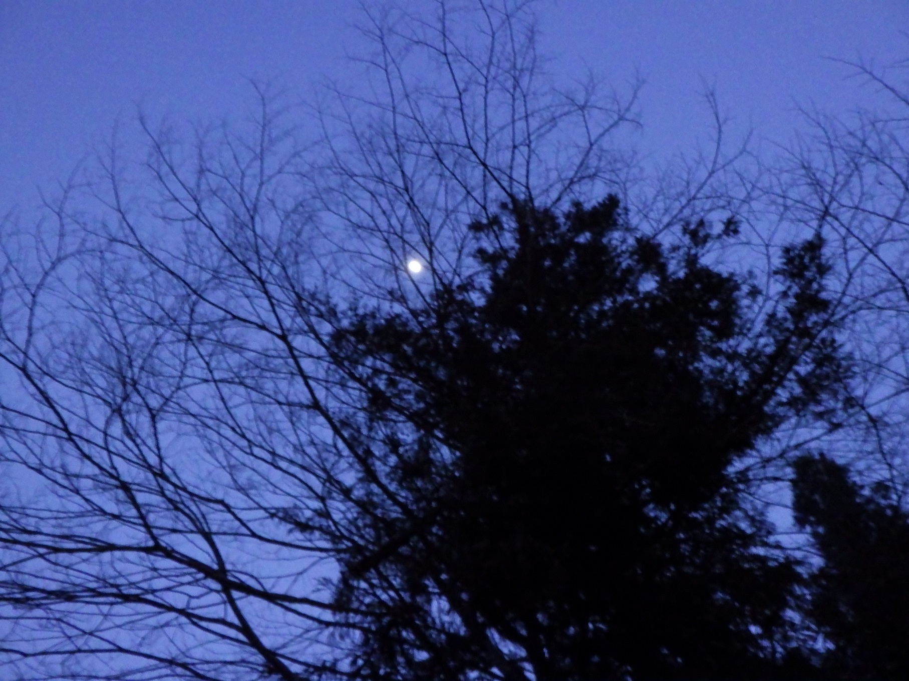 Yamasobu夜