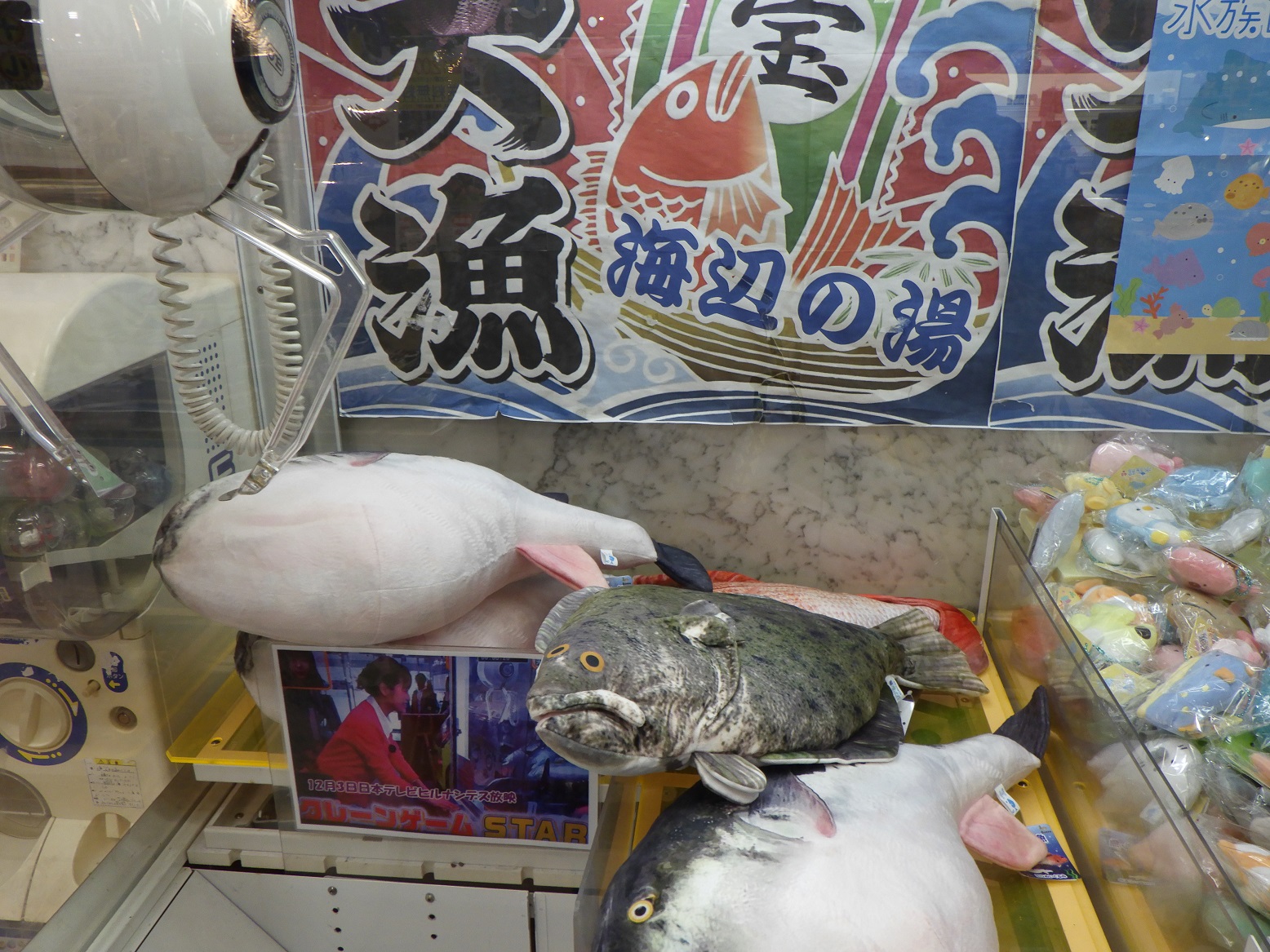 UFOキャッチャー魚