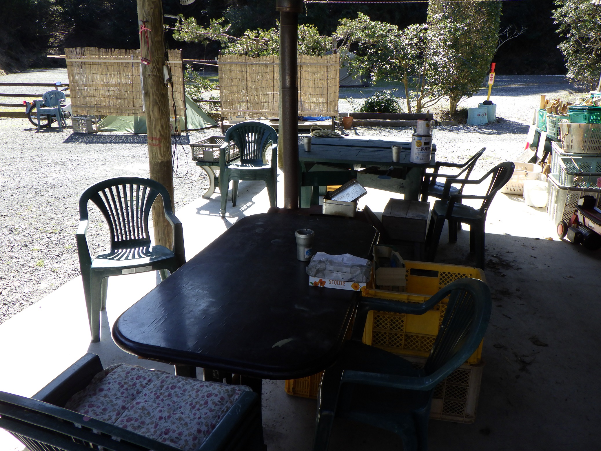 勝浦マンボー　受付