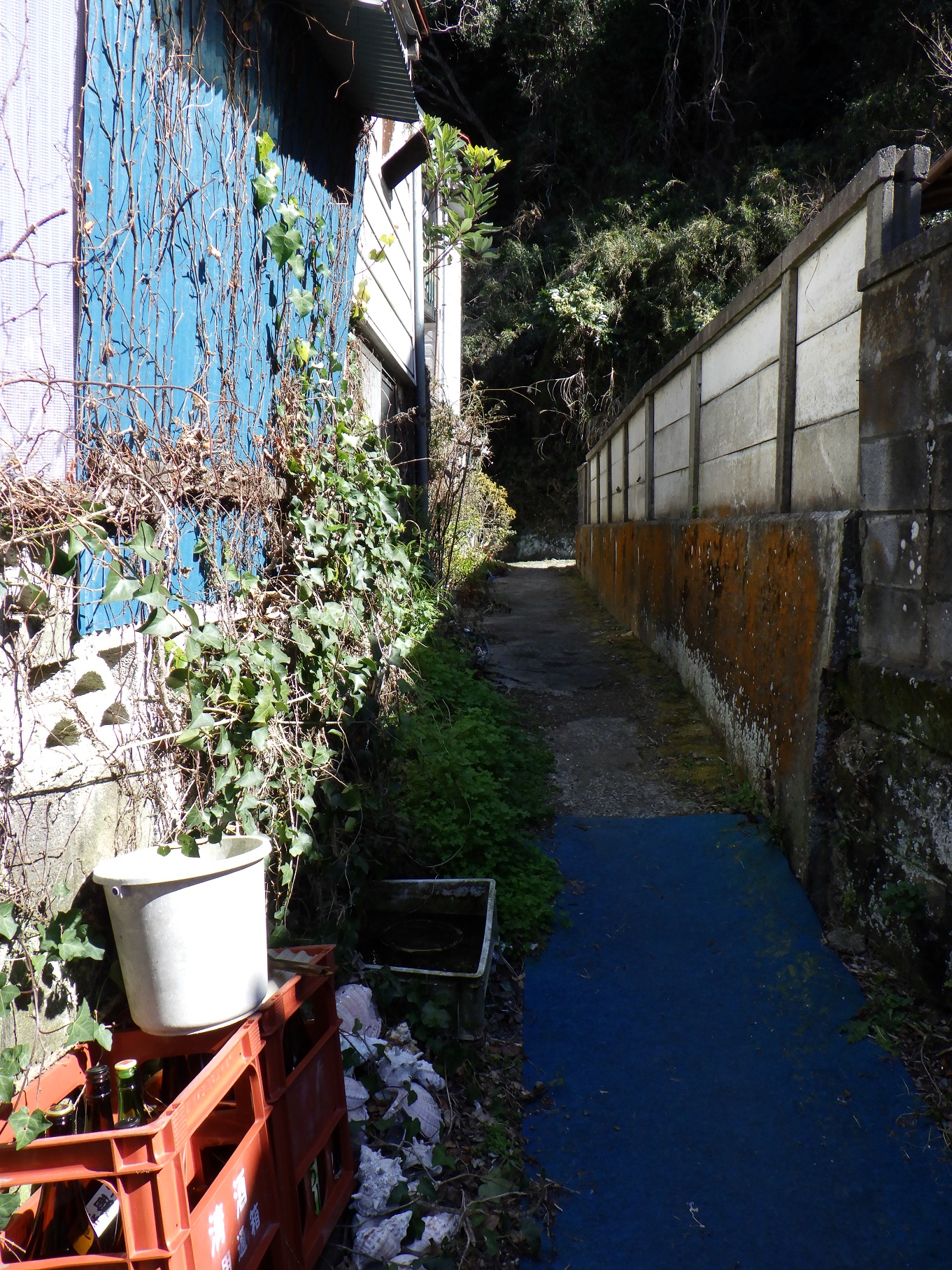 勝浦路地