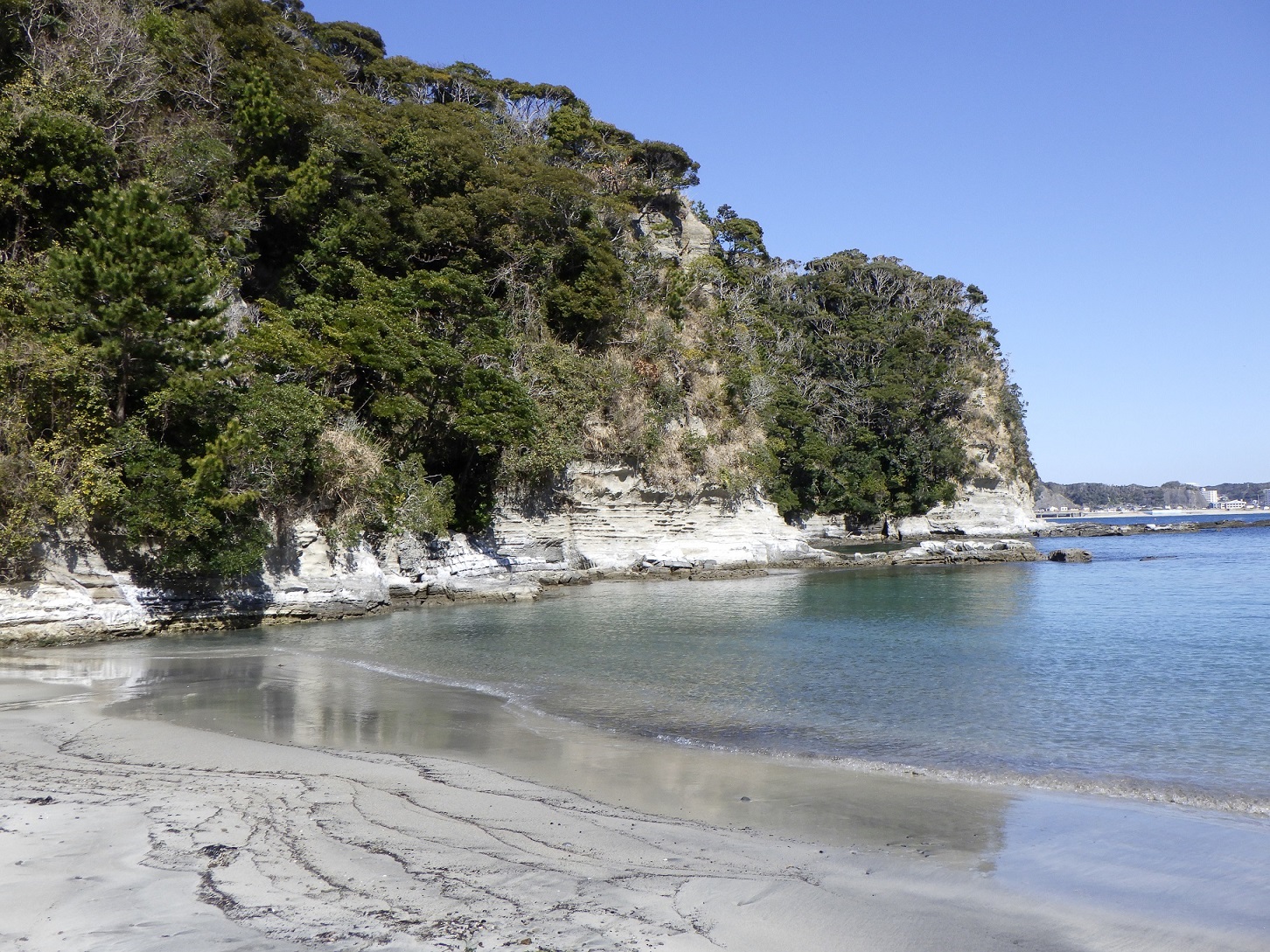勝浦 砂浜