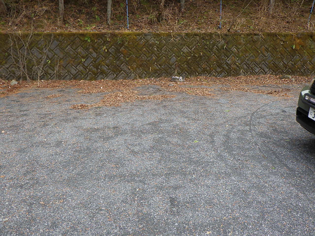 ほうれん坊の森 風