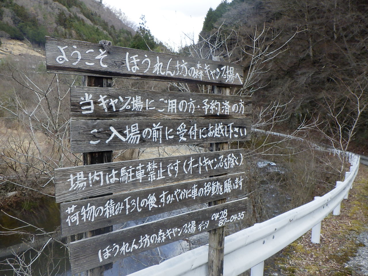 ほうれん坊の森