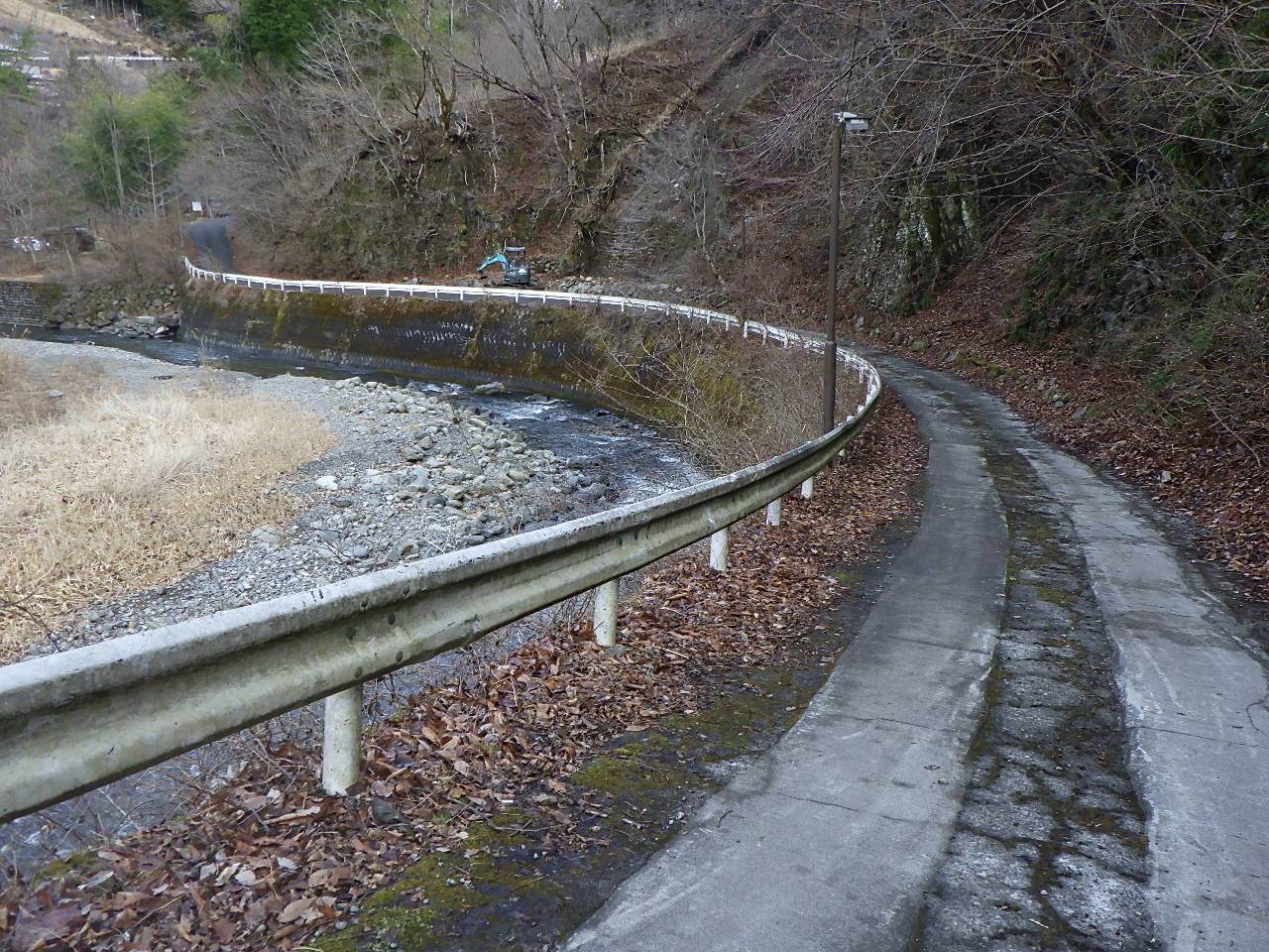 ほうれん坊の森