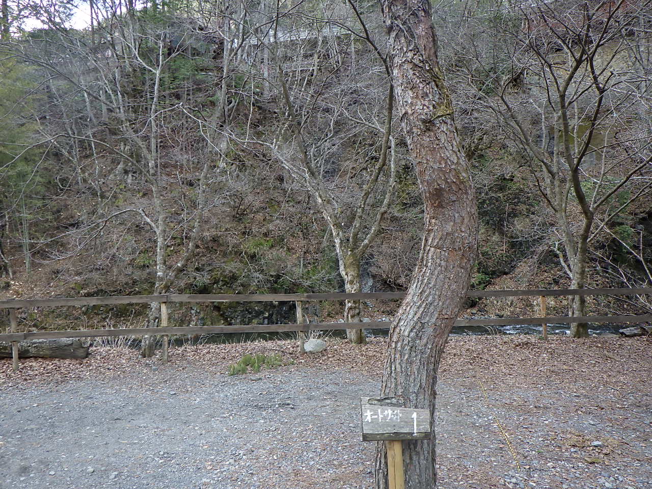 ほうれん坊の森