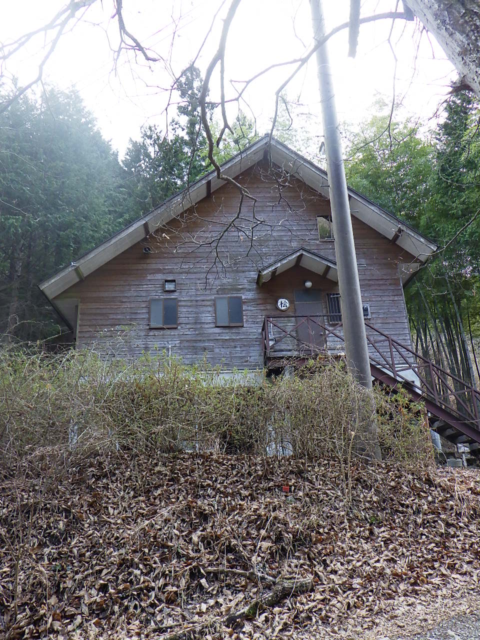 ほうれん坊の森