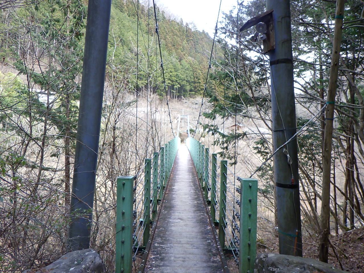 ほうれん坊の森 吊り橋
