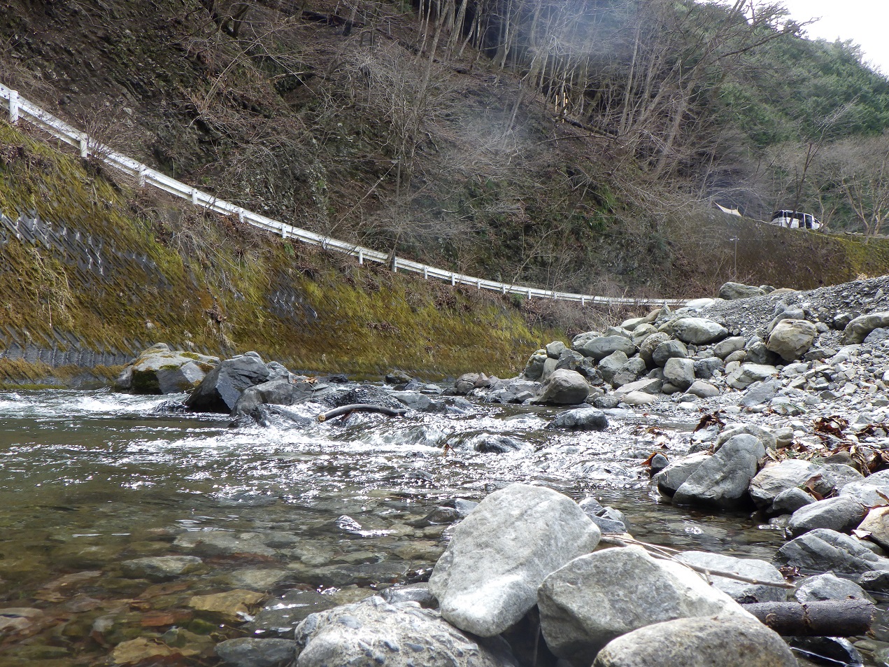 ほうれん坊の森