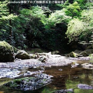 秘境?オートキャンプ神奈川県体験BLOG相模原編おまけ
