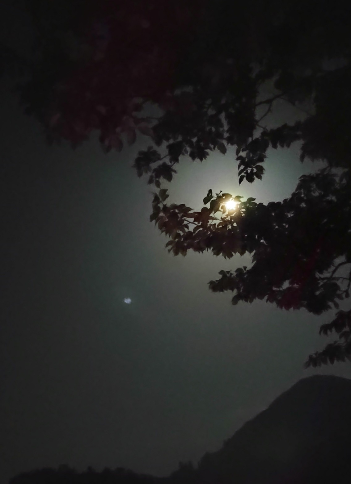 青野原オートキャンプ場