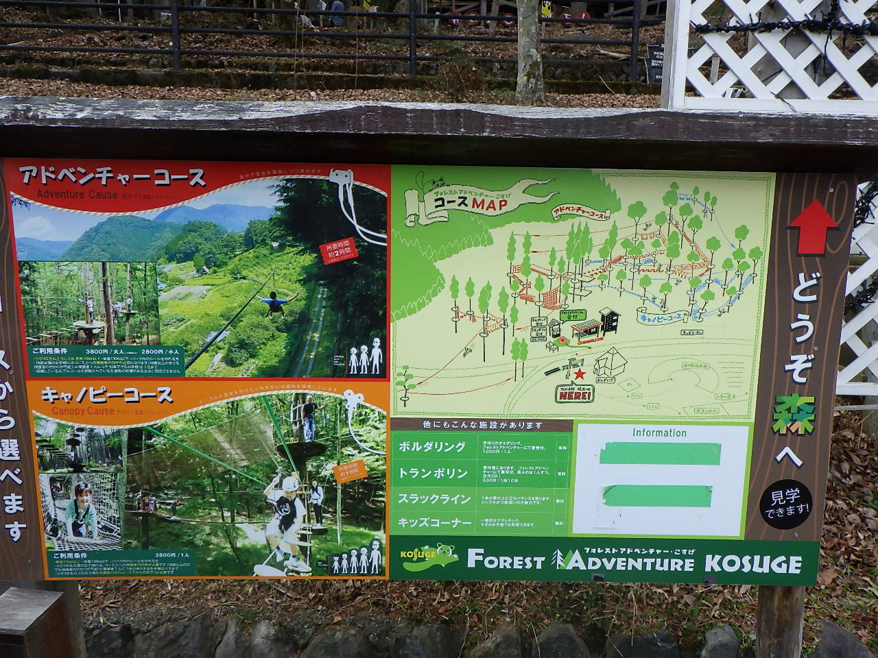 フォレストアドベンチャー　こすげ