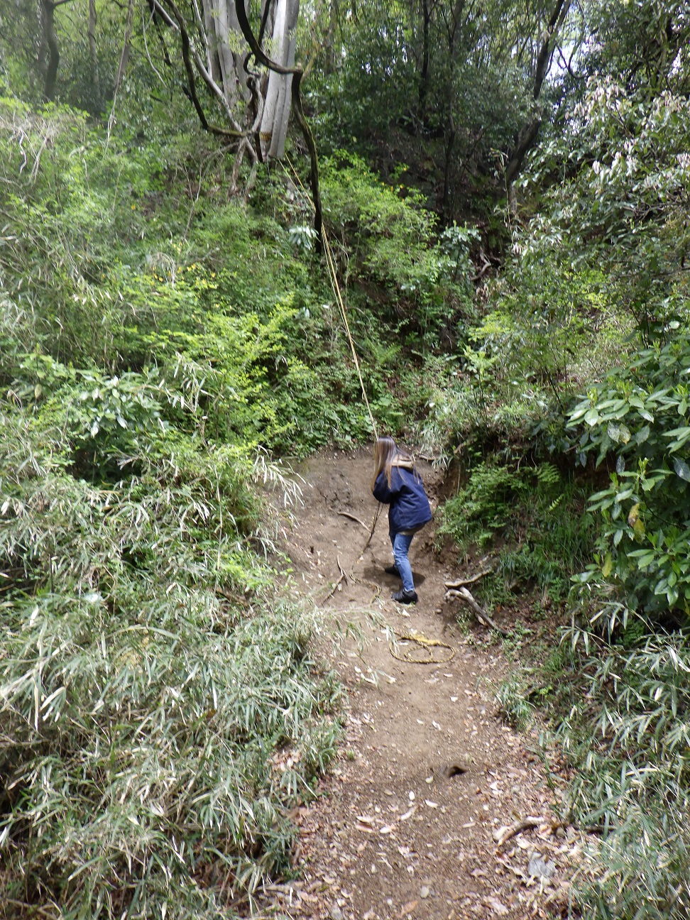 青野原　大滝　難関