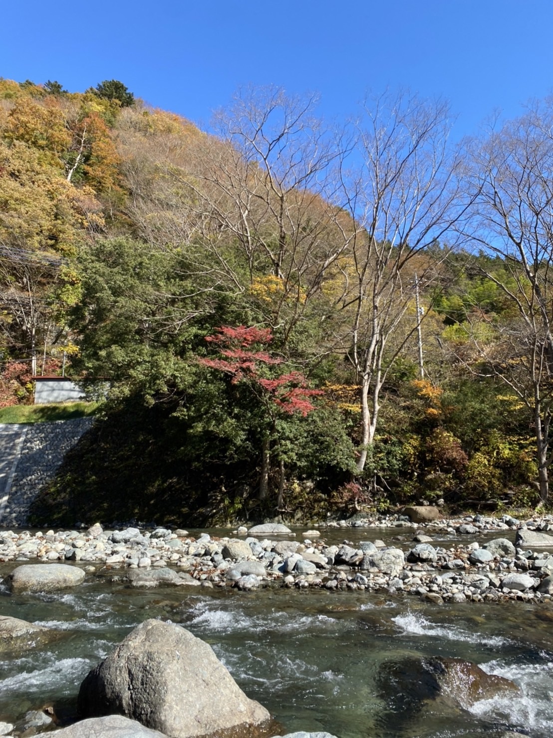 下村キャンプ場 紅葉