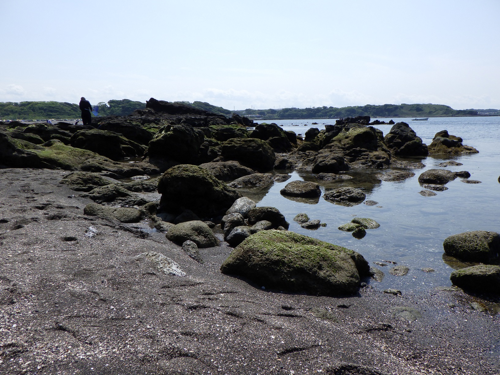 三浦半島 長浜 海