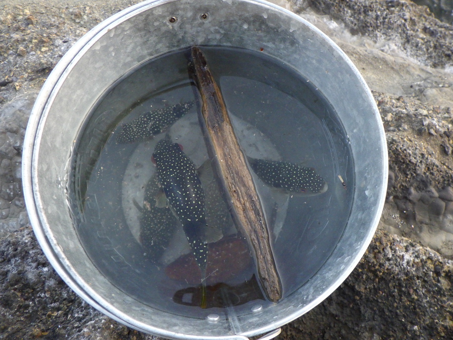 三浦半島 長浜 海