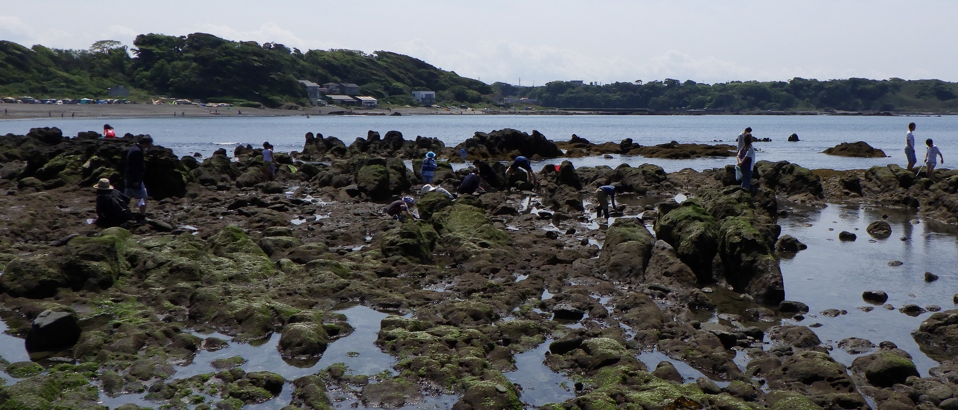 三浦半島 長浜 海