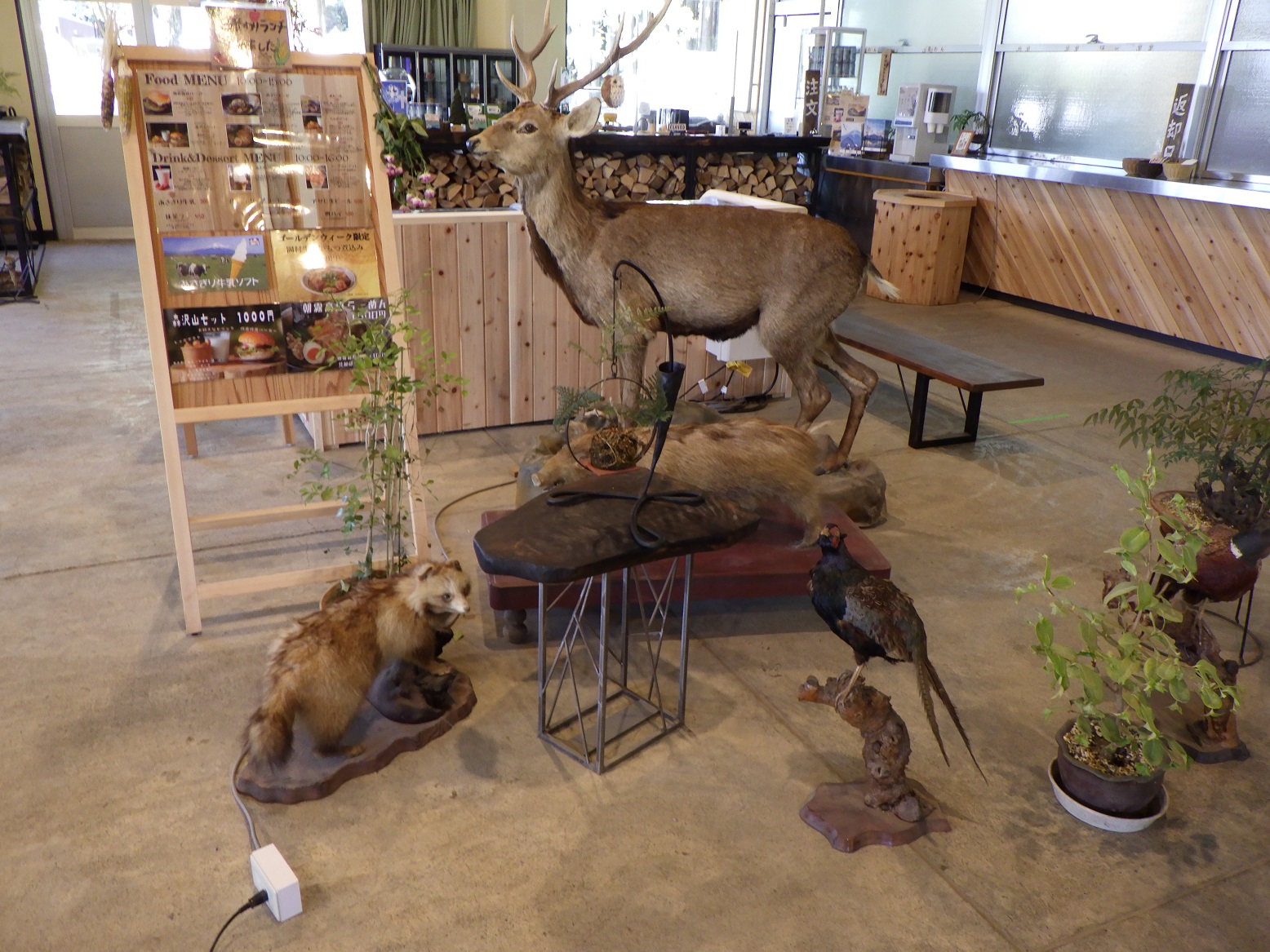 ふもとっぱら食堂