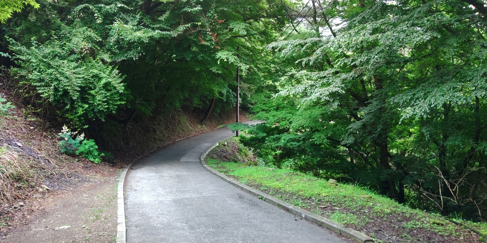 洪庵キャンプ場