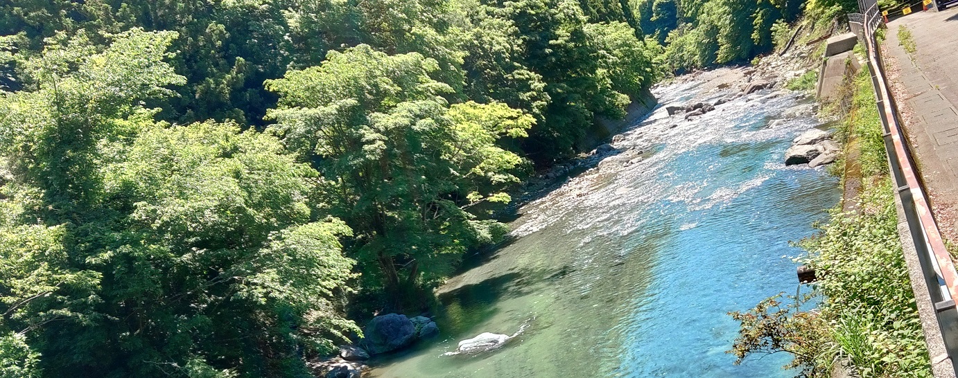 道志川　紅椿の湯