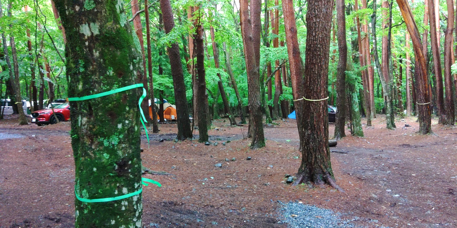 洪庵キャンプ場　テント村