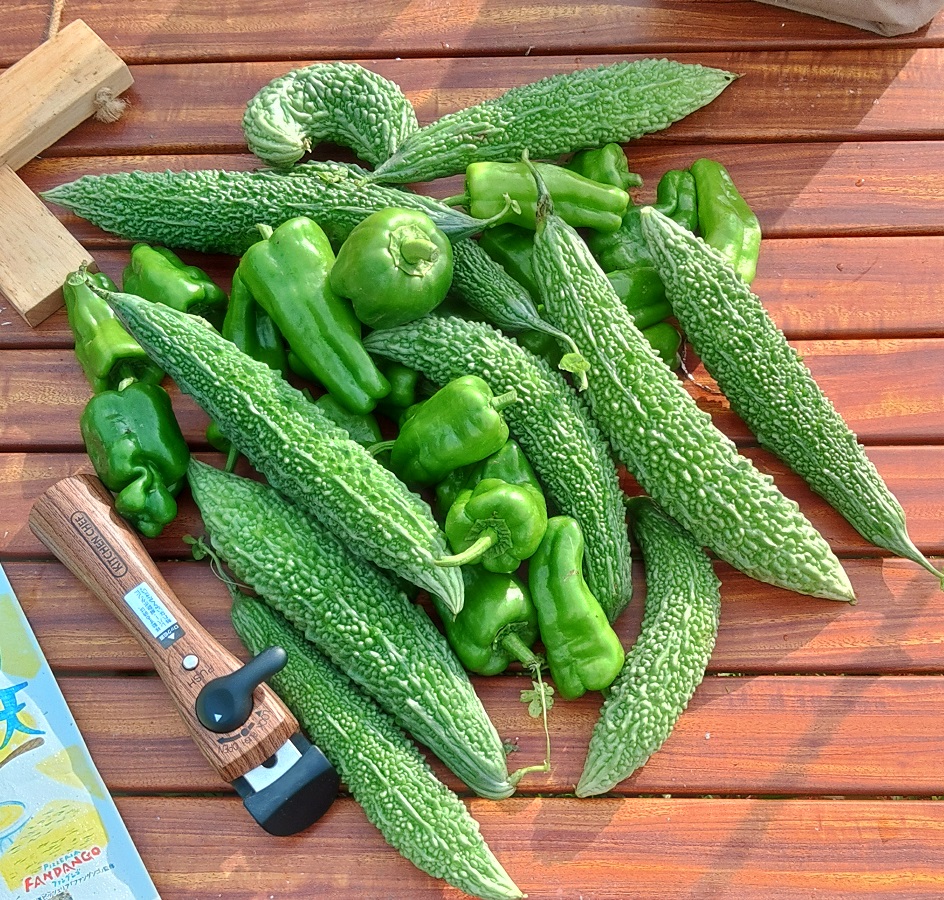 潮来キャンプサイト