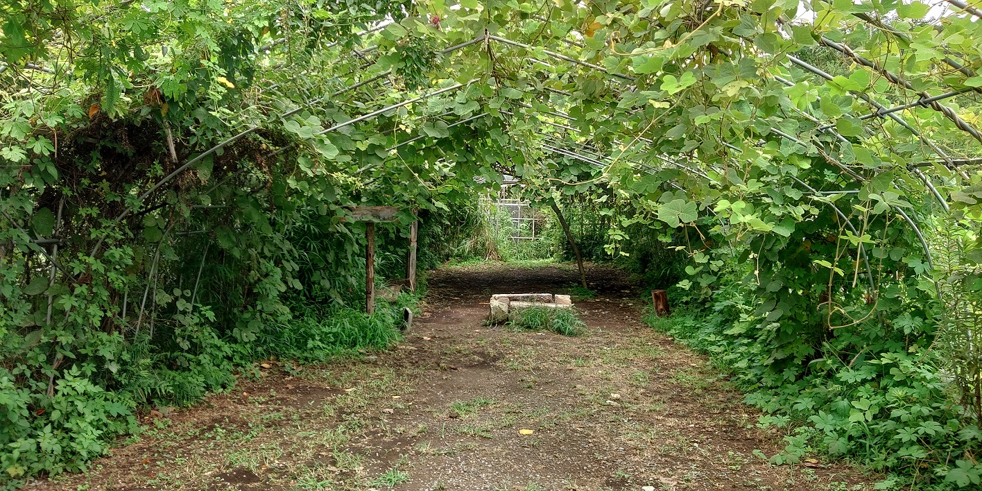 潮来キャンプサイト