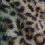 ヒョウ柄フライトキャップ