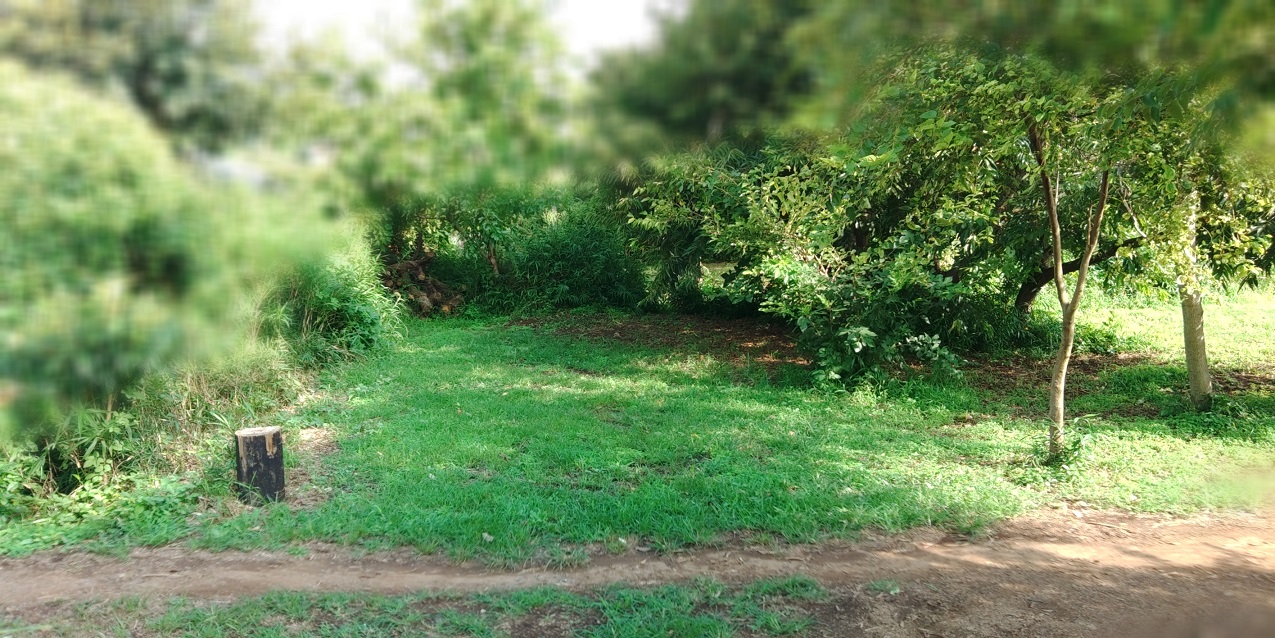 潮来キャンプサイト