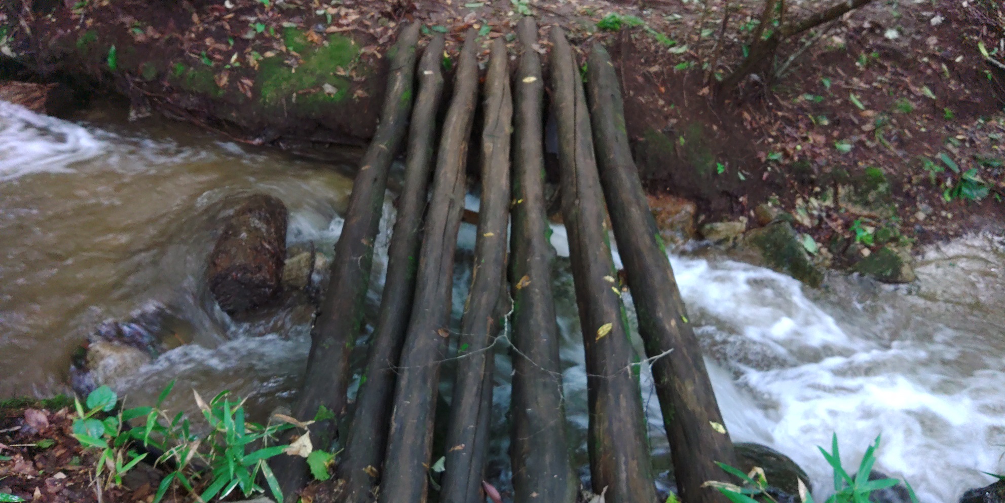 黒坂オートキャンプ場