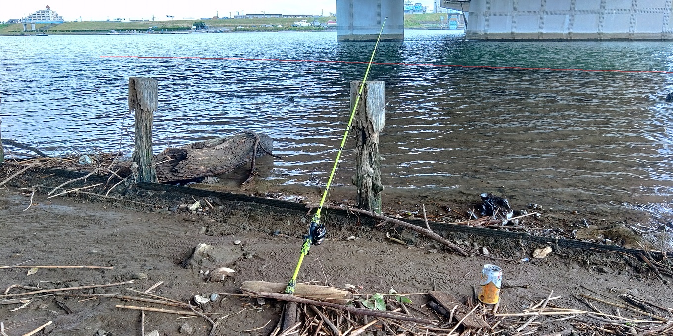 江戸川　ハゼ釣り