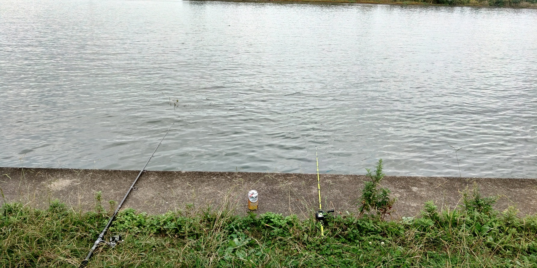 江戸川　ハゼ釣り