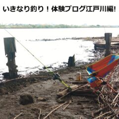 いきなり釣り！体験ブログ江戸川編！