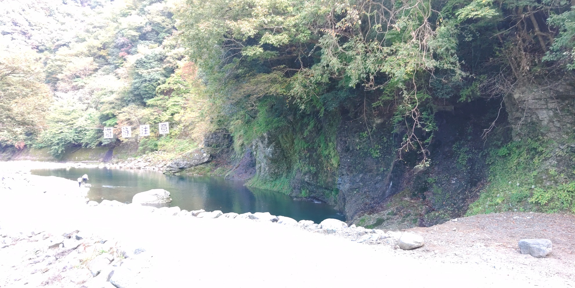 青根キャンプ場 道志川