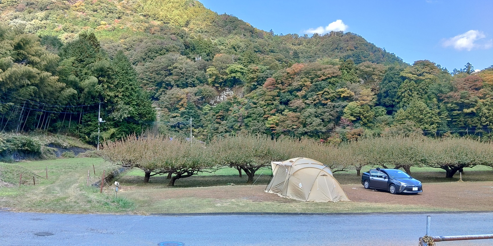 青根キャンプ場