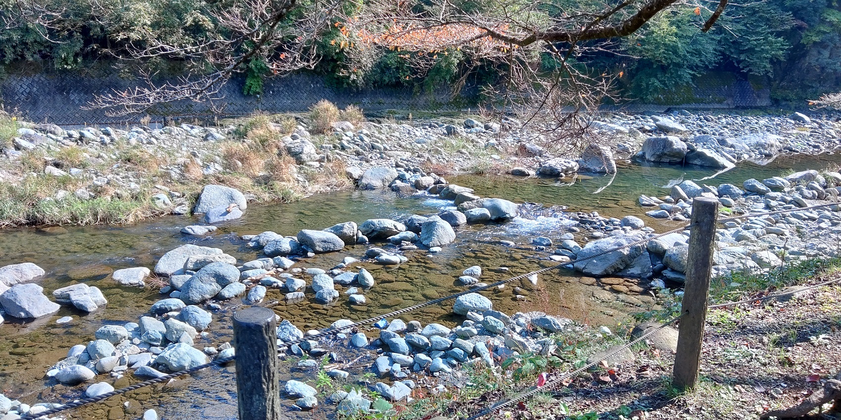 青根キャンプ場