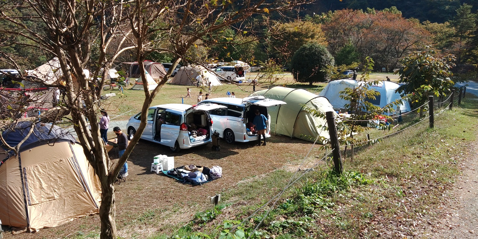 青根キャンプ場