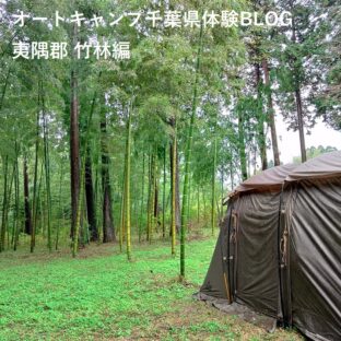 オートキャンプ千葉県体験BLOG夷隅郡 竹林編