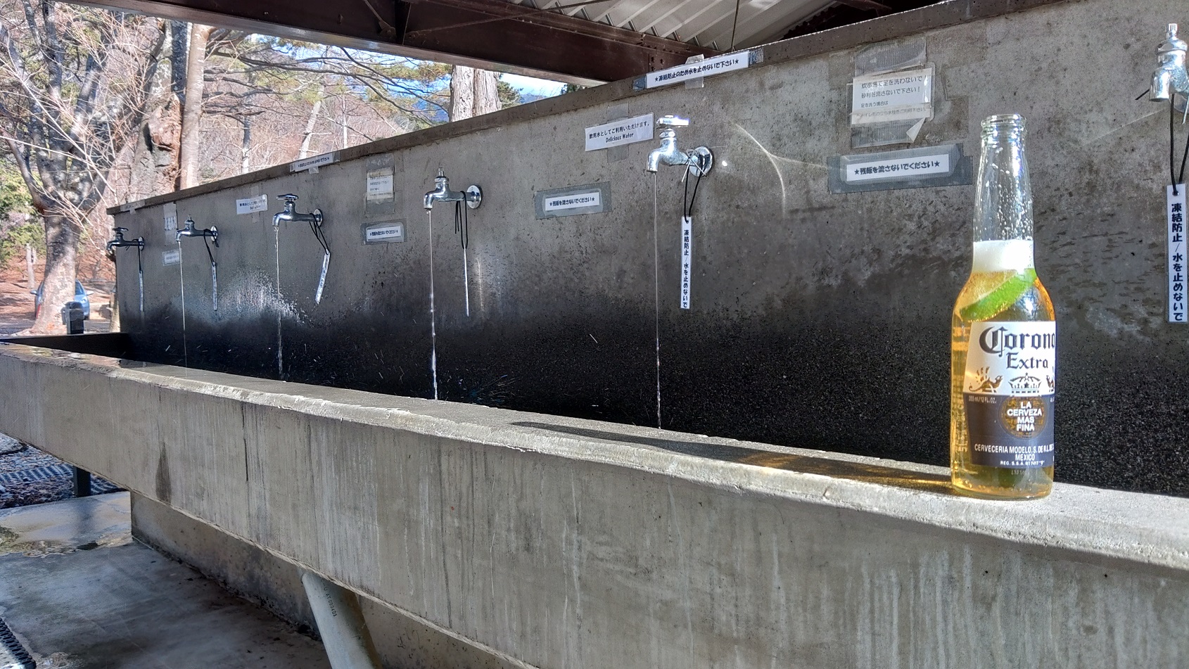 洪庵キャンプ場 年越し