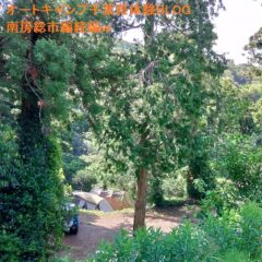 オートキャンプ千葉県体験BLOG南房総市編続編
