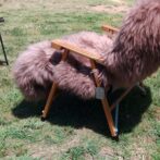 リアルファーカバー