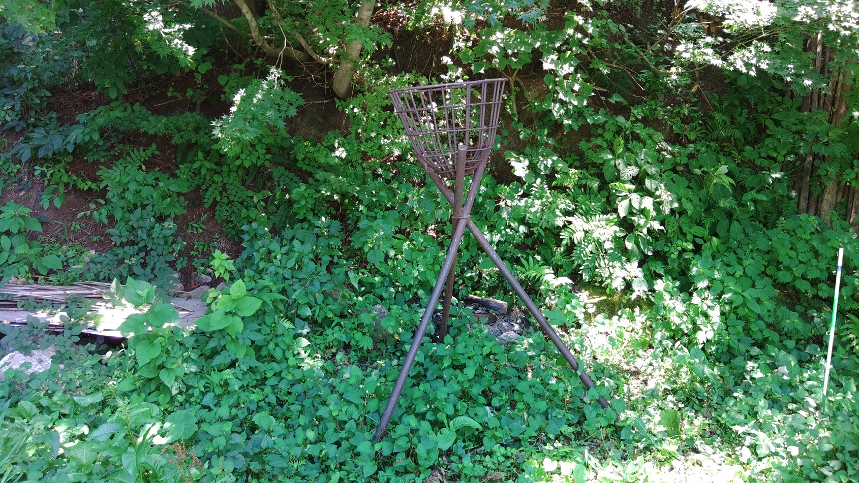 高社山キャンプ場 レッドゲートキャンプ場