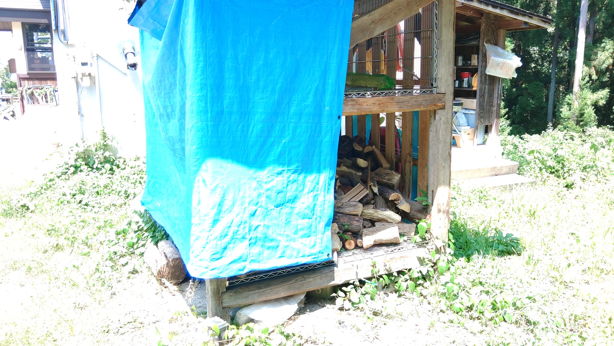 高社山キャンプ場 レッドゲートキャンプ場