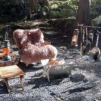 リアルファー　Godisru