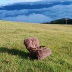 リアルファーカバー